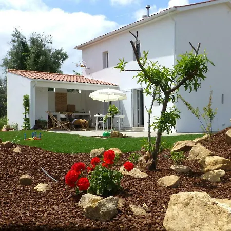 Casa Do Olival Villa Figueiro Dos Vinhos Exterior photo