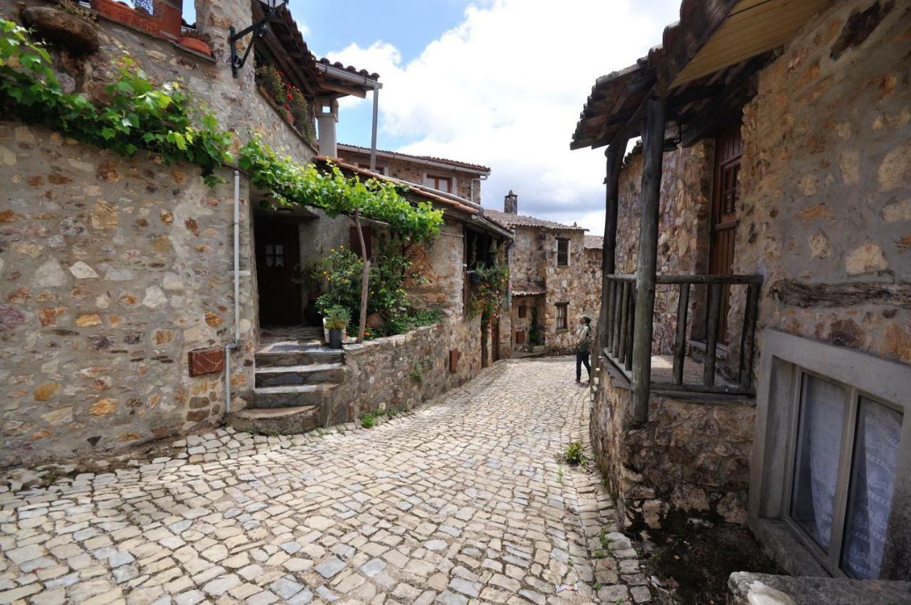 Casa Do Olival * Figueiro Dos Vinhos