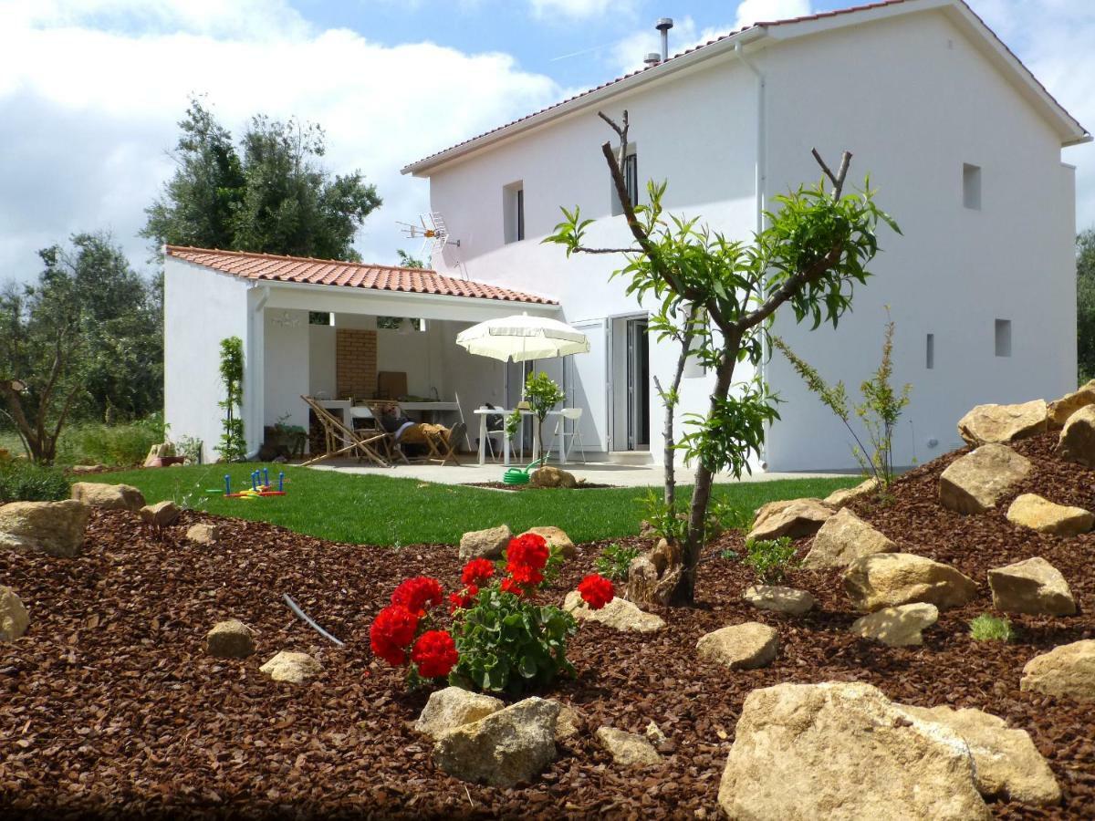 Ferienhaus Casa Do Olival Figueiro Dos Vinhos